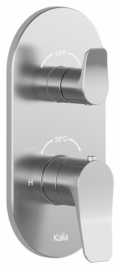 BF2170-110 product image.