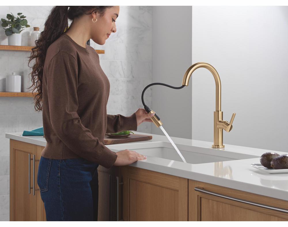 19867LF-CZ product image.