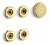 Vibrant Polished Brass