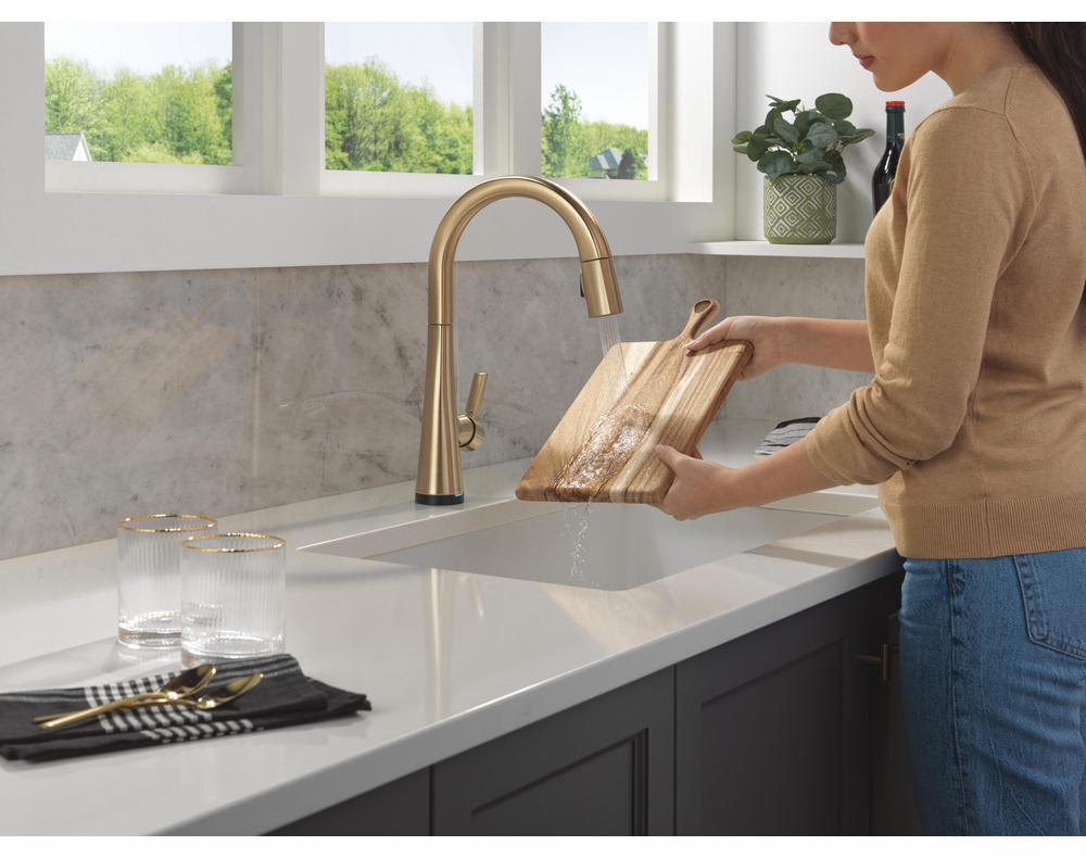 9191TL-CZ-PR-DST product image.