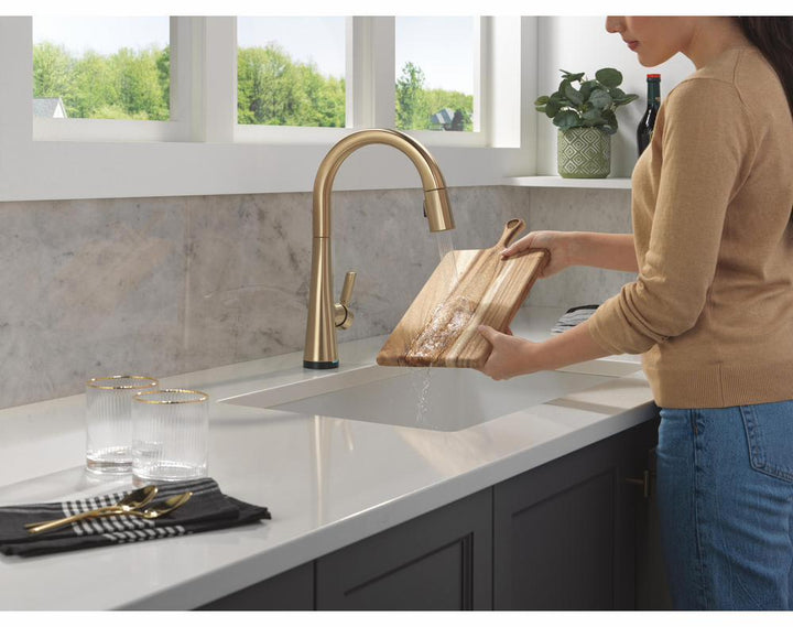 9191TL-CZ-PR-DST product image.