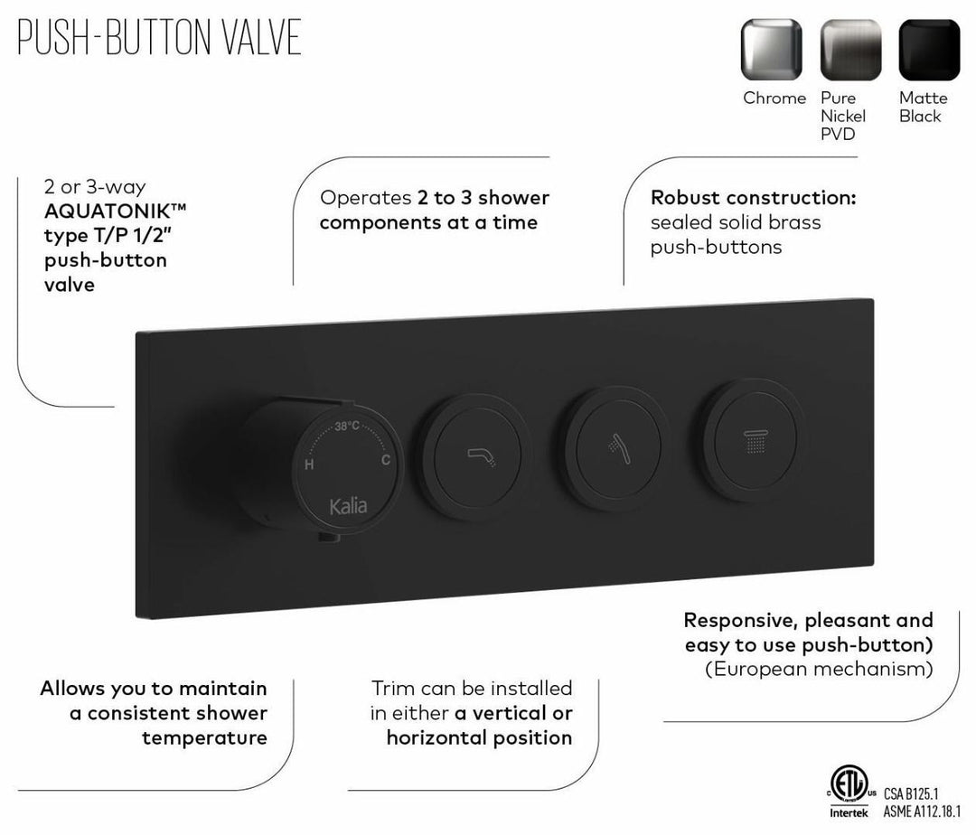 BF2100-110 product image.