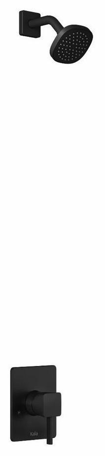 BF2088-160 product image.