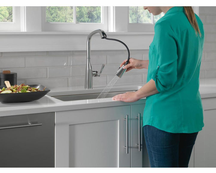 9176-AR-PR-DST product image.