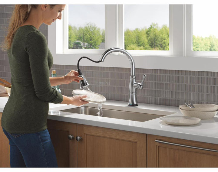 9197TL-AR-PR-DST product image.