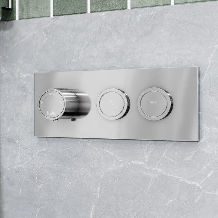 BF2099-110-001 product image.