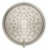 Vibrant Brushed Nickel